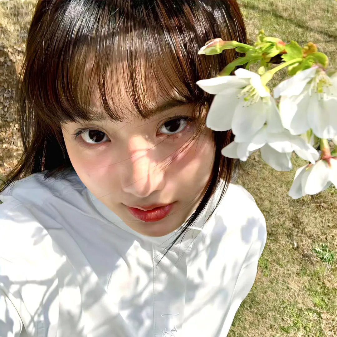 瓢虫少女第五季
